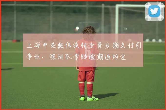 上海申花戴伟浚转会费分期支付引争议，深圳队索赔逾期违约金
